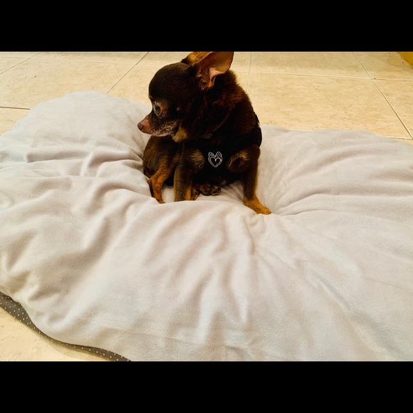 Simple anti slip comfy on the go pet bed - Picture 6 of 6